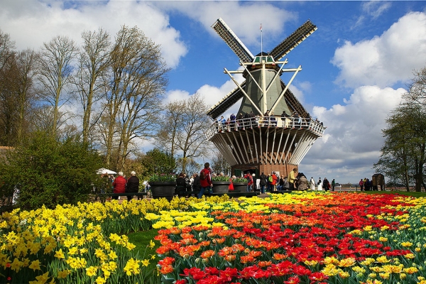 Lễ hội hoa Keukenhof