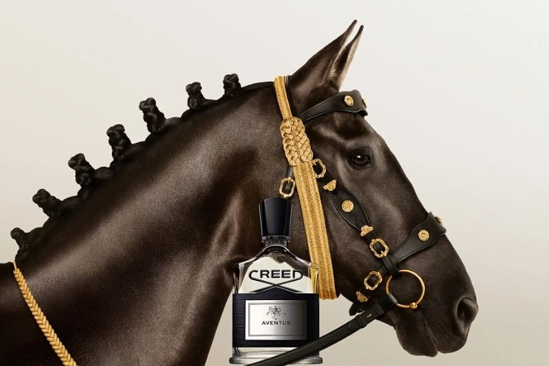 Hành trình khẳng định đẳng cấp của Creed Aventus