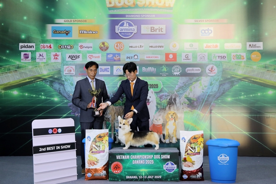 VKA Firework International Dog Show - Đà Nẵng 2025 ghi dấu ấn phong trào thú cưng Việt