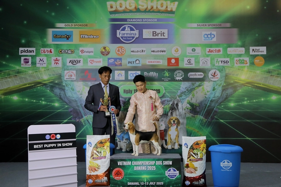 VKA Firework International Dog Show - Đà Nẵng 2025 ghi dấu ấn phong trào thú cưng Việt