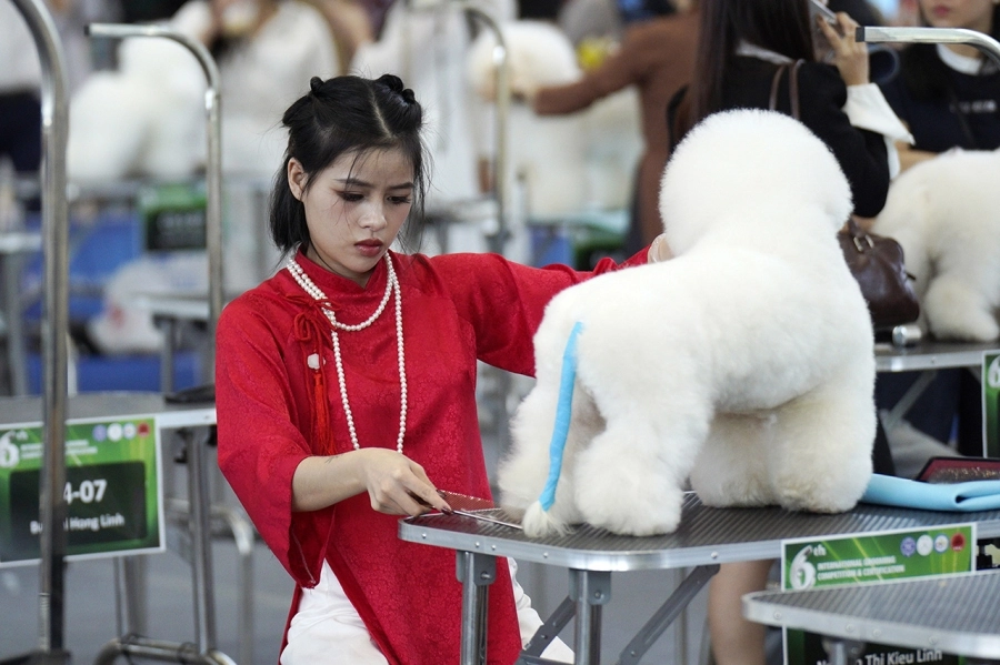 VKA Firework International Dog Show - Đà Nẵng 2025 ghi dấu ấn phong trào thú cưng Việt