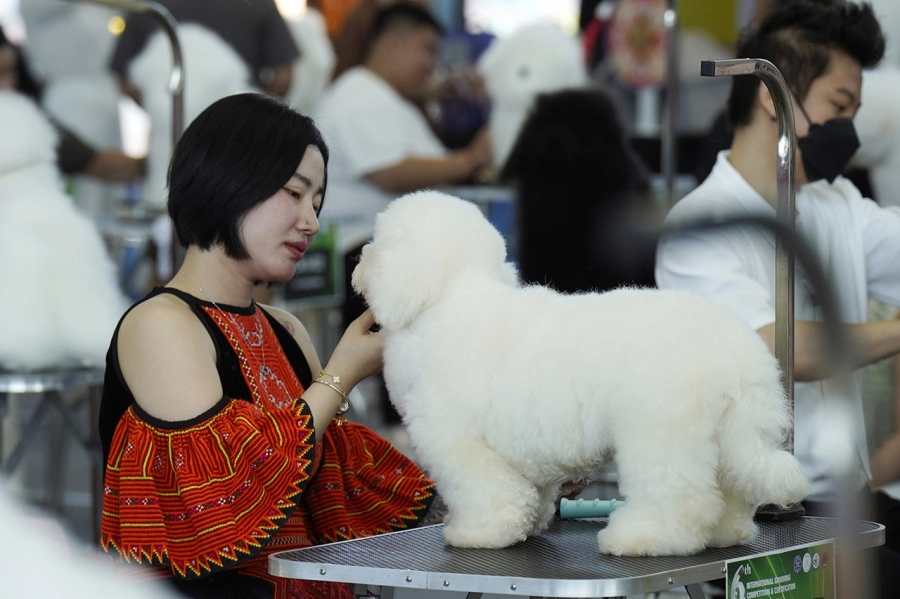 VKA Firework International Dog Show - Đà Nẵng 2025 ghi dấu ấn phong trào thú cưng Việt