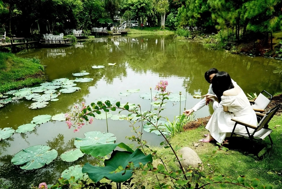 Đà Lạt  giữa lòng Sài Gòn: Có một thảo nguyên xanh để trở về…