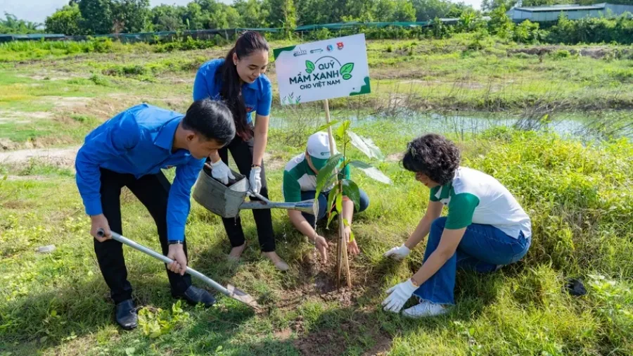 Triệu Mầm Xanh Cho Việt Nam: hành động vì một tương lai xanh