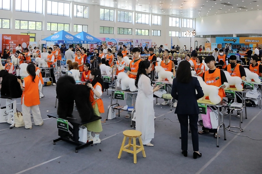 VKA Firework International Dog Show - Đà Nẵng 2025 ghi dấu ấn phong trào thú cưng Việt