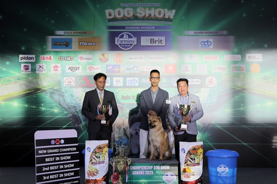 VKA Firework International Dog Show - Đà Nẵng 2025 ghi dấu ấn phong trào thú cưng Việt