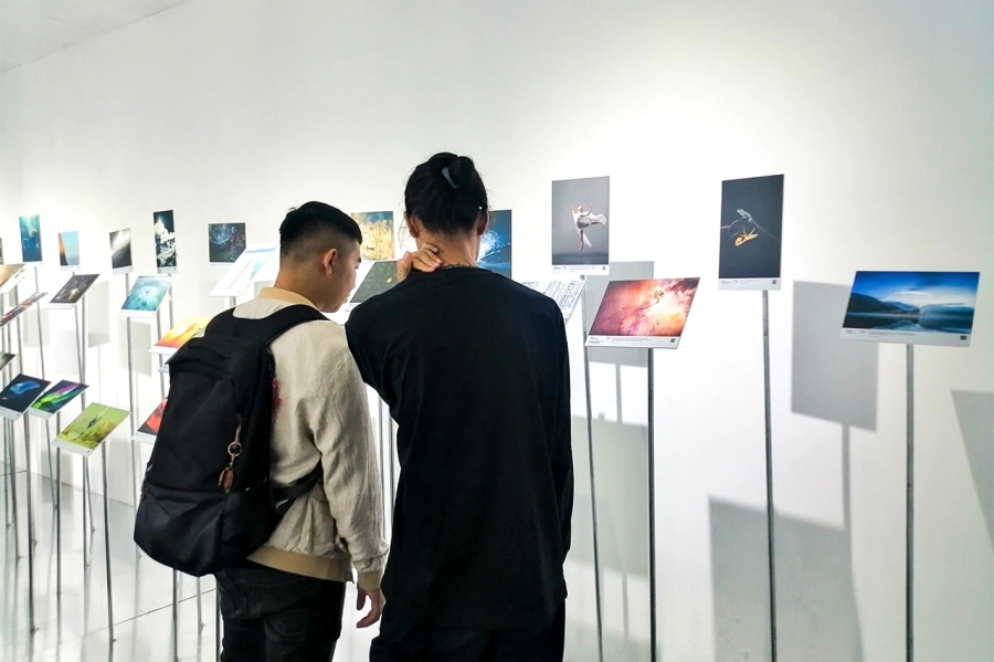 ViewSonic lần đầu tổ chức triển lãm nghệ thuật ColorPro Award RISE tại Việt Nam