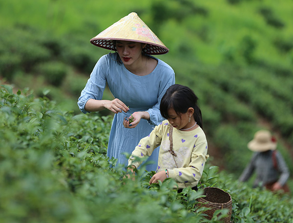 TST tourist đa dạng tour du lịch mùa thu