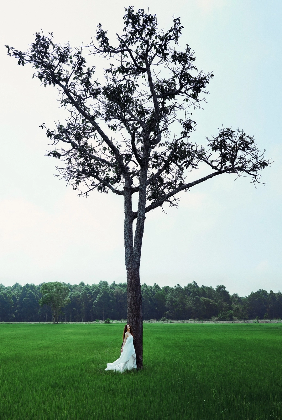 Lý Nhã Kỳ tạo dáng trên cánh đồng lúa Nam Cát Tiên