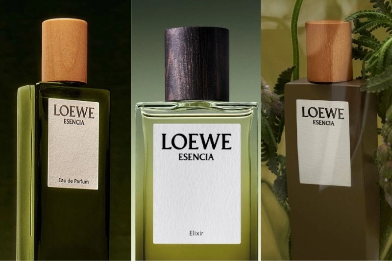 LOEWE Esencia ba phiên bản, một bản sắc nam tính vượt thời gian 